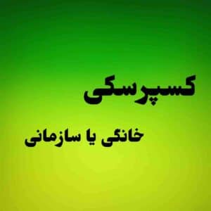 کسپرسکی خانگی یا سازمانی